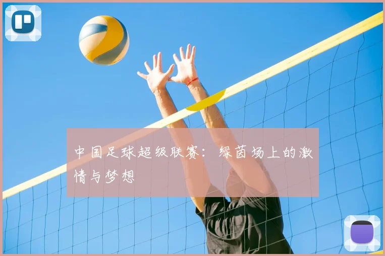 中国足球超级联赛：绿茵场上的激情与梦想